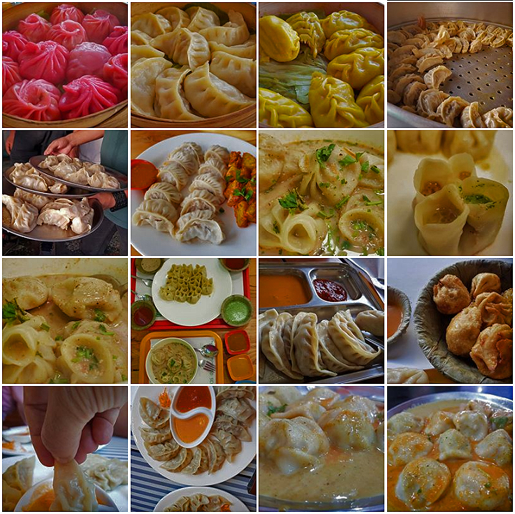 624-types-of-momos-made-in-graphic-era-for-world-record-garhwal-post