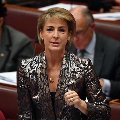 Attorney-General Michaelia Cash in the Senate chamber at Parliament House in Canberra.