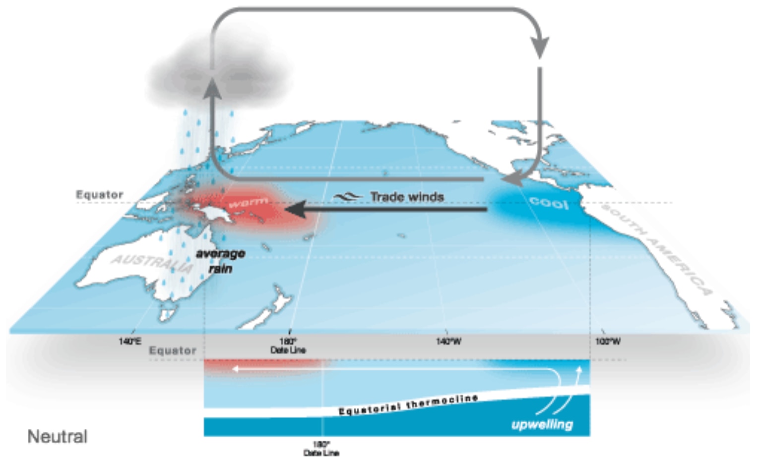 Pacific Ocean – even in neutral state the Western Pacific is warm.