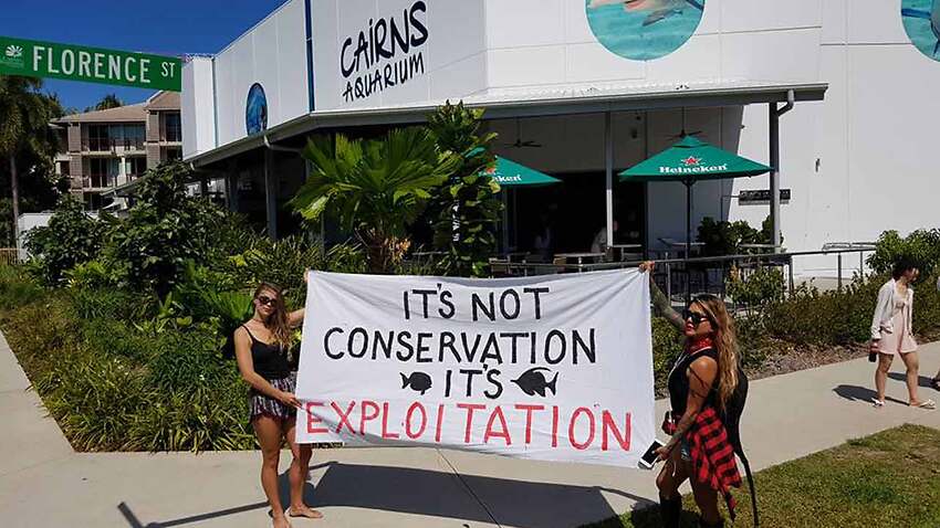 Animal activists arrested during campaign targeting Queensland theme parks