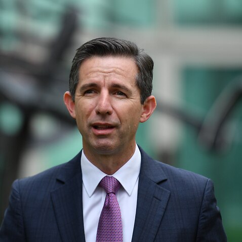 Minister for Finance Simon Birmingham at a press conference at Parliament House in Canberra.
