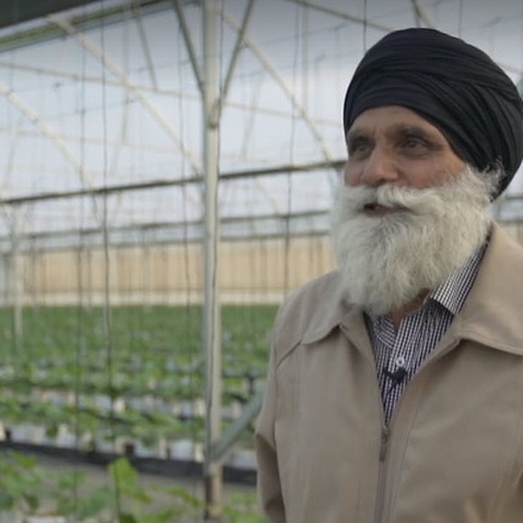 Woolgoolga Sikh farmer