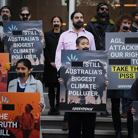 Greenpeace campaigners protest outside the The Federal Court of Australia, in Sydney, Wednesday, June 2, 2021. Energy giant AGL are seeking to have their logo removed from a Greenpeace pollution campaign.  (AAP Image/Dean Lewins) NO ARCHIVING