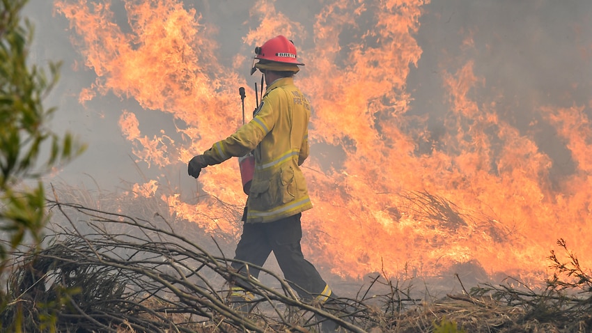 Resultado de imagen para fuego arde sin control en los alrededores de Sydney