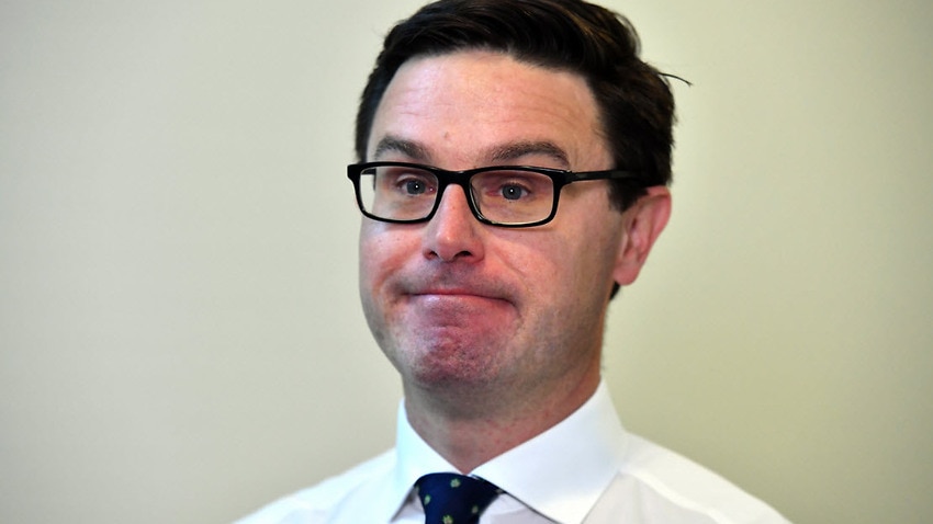 Labor slams 'climate change denier' David Littleproud over bushfire comments - SBS News