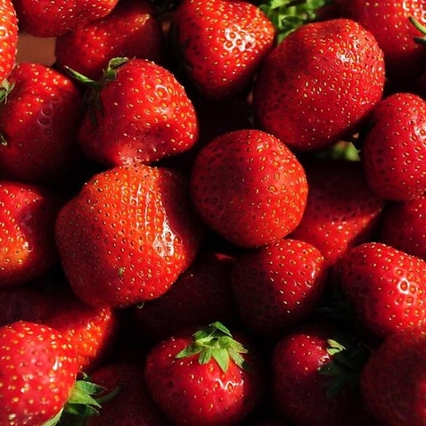 A general view of strawberries.