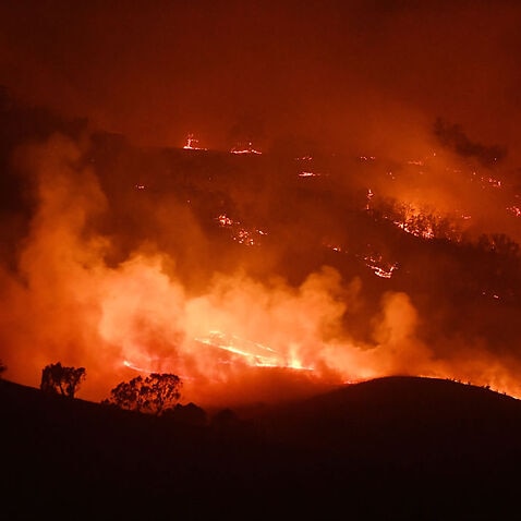 Australia was hit hard by bushfires in 2019.
