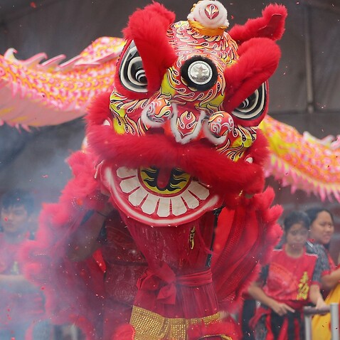 Lion dancers perform during the Georges River Lunar New Year Festival in Sydney,