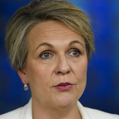 Labor's education spokeswoman Tanya Plibersek speaks to the media at St Mary’s Cathedral school on Monday, 9 May, 2022.