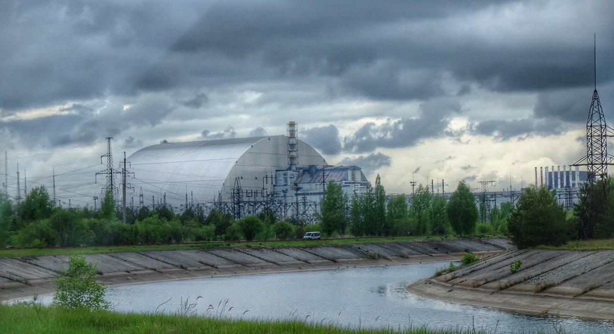 Chernobyl has become a refuge for wildlife 33 years after ...