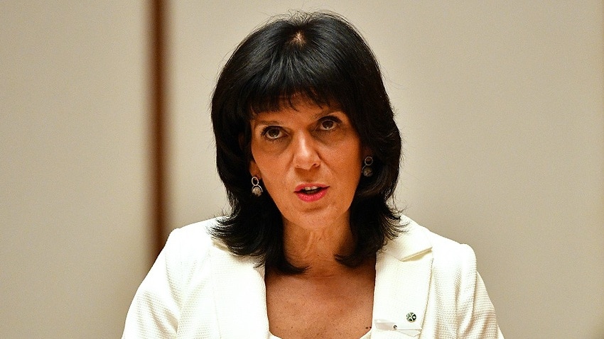 Julia Banks at Parliament House in Canberra.