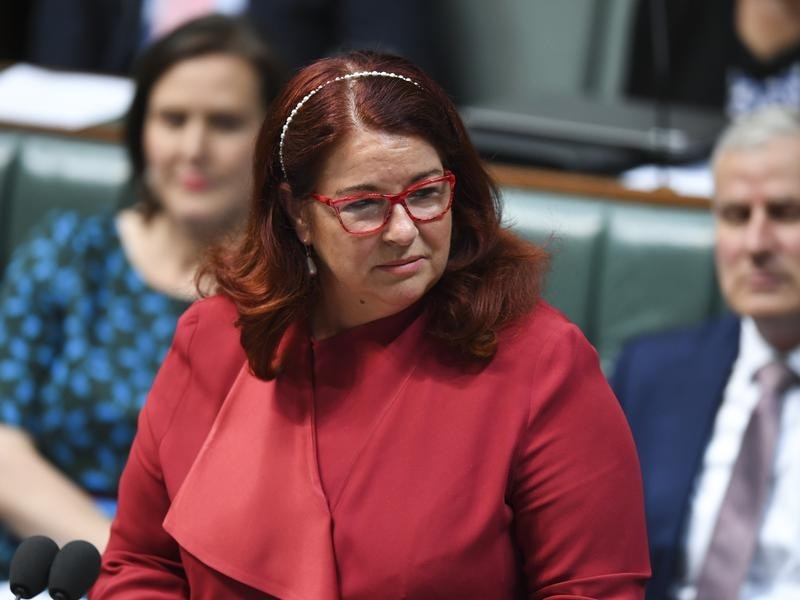 Environment Minister Melissa Price has been under pressure from Nationals MP to approve the Adani groundwater plan. 