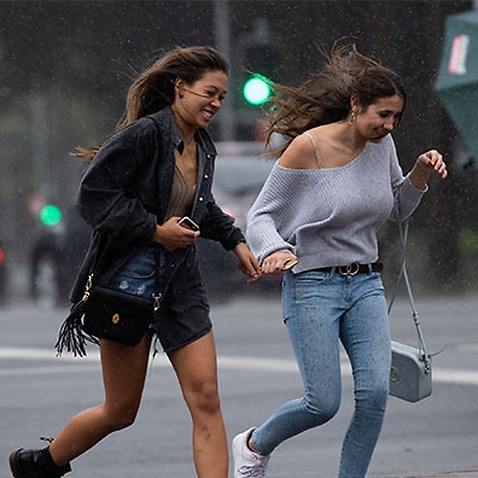 Heavy rain a strong winds are expected to impact Sydney through out the day