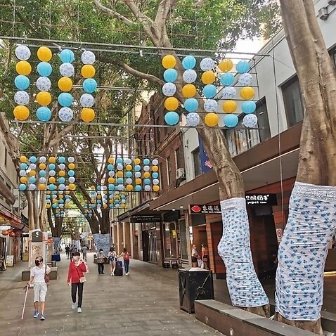 Susan Chen's controversial Lunar New Year installations in Sydney's Chinatown. 