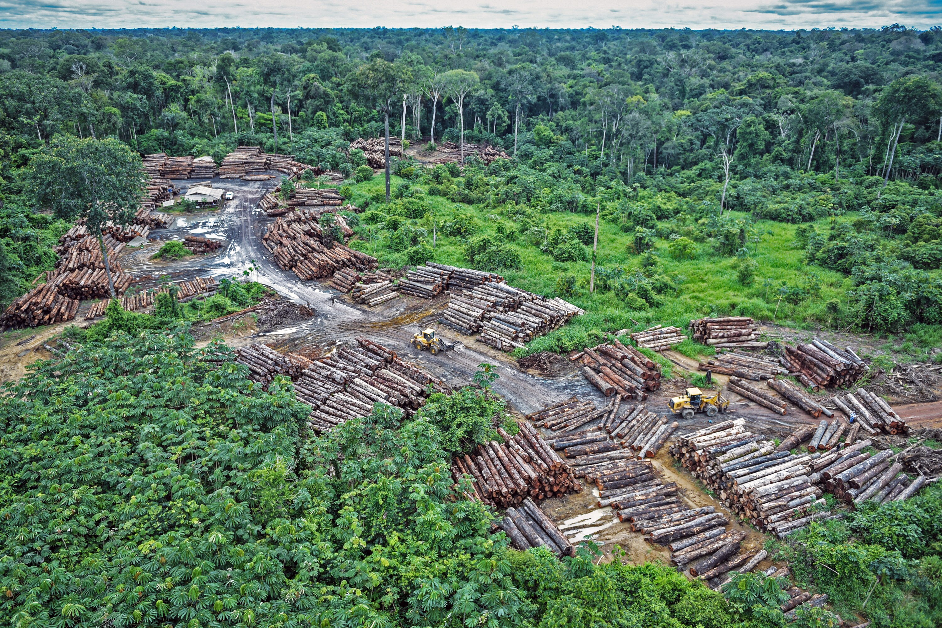 Illegally logging site on Pirititi indigenous amazon lands on May 8, 2018  (Felipe Werneck/Ibama via flickr via AP)
