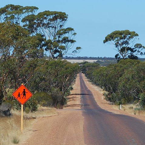 country road, countryside, outback