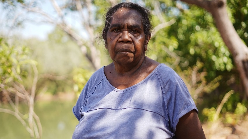 Image for read more article 'Aboriginal communities fear their culture will be lost amid Northern Territory cotton boom'