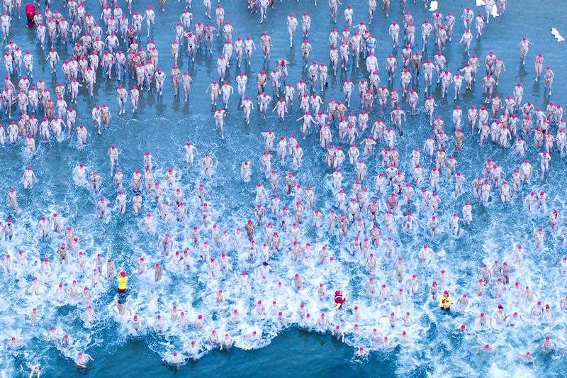 Record numbers of swimmers took to the water in Hobart this year. 