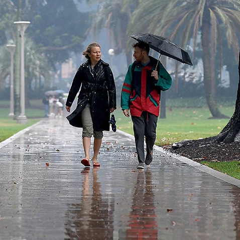 Sydney has copped a soaking during the recent days of downpours. 