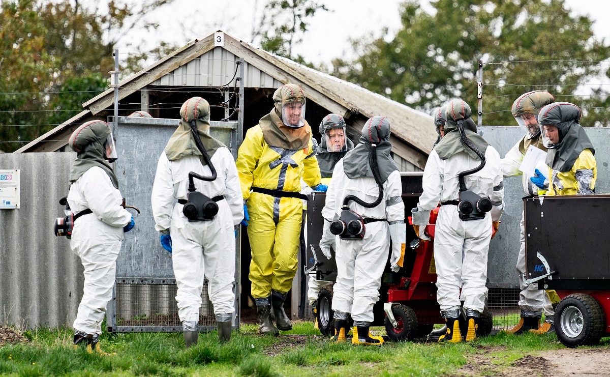 Employees from the Danish Veterinary and Food Administration and the Danish Emergency Management Agency in protective equipment.