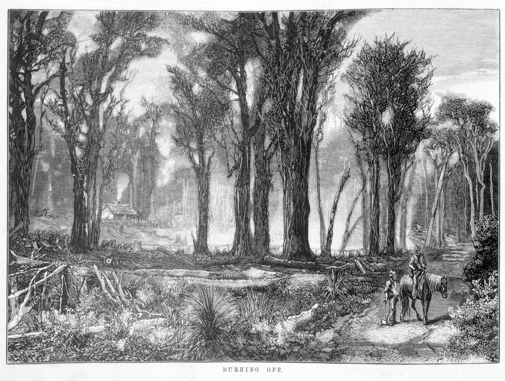 1882 Australische Siedler brennen das Land ab um sich anzusiedeln