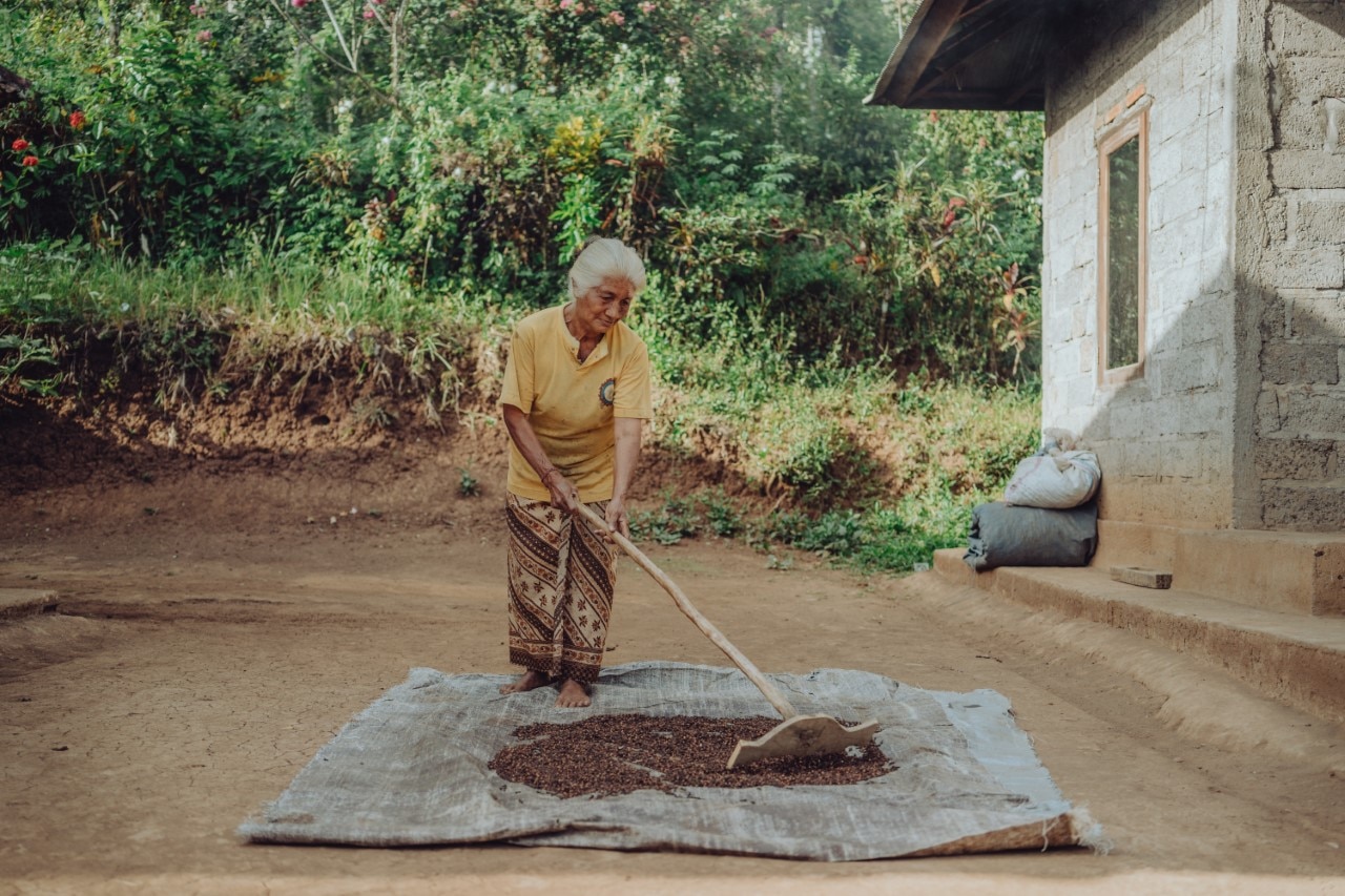 Banyak keluarga di desa-desa terpencil sekarang mengandalkan uang kecil yang mereka peroleh dengan memanen cengkeh dan menenun keranjang.