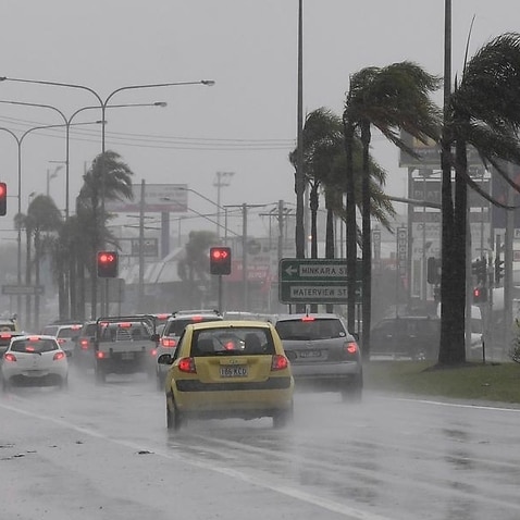 Cars drive through rain and strong winds on a Sunshine Coast road.