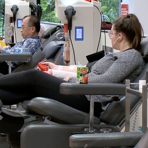 The Australian Red Cross is calling for more blood donations