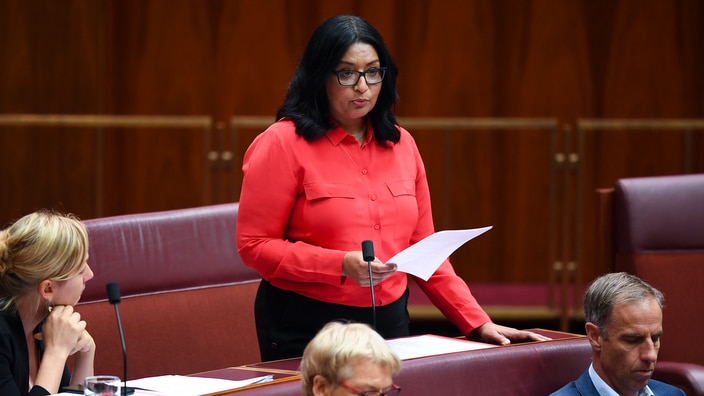 Australian Green Senator Mehreen Faruqi speaks during the Senate's work in Parliament House in Canberra, 2019. 
