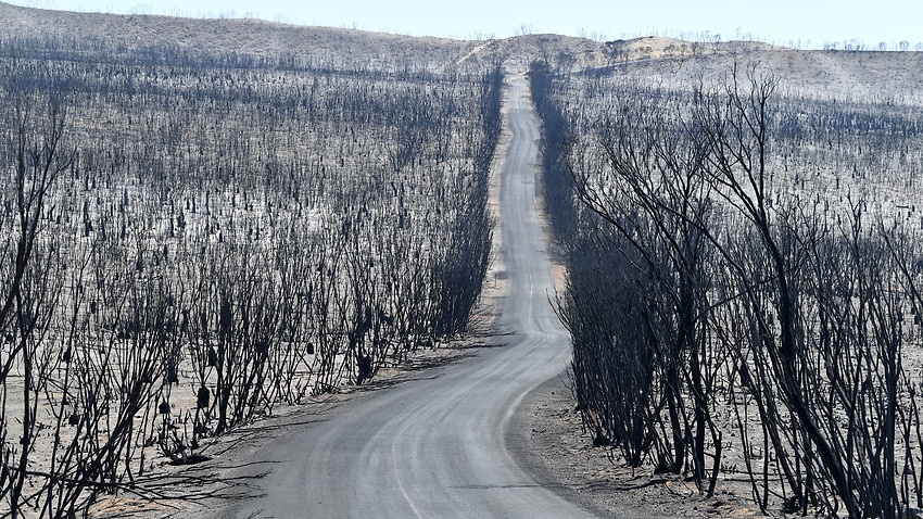 Damage to the Flinders Chase National Park after bushfires swept through Kangaroo Island.