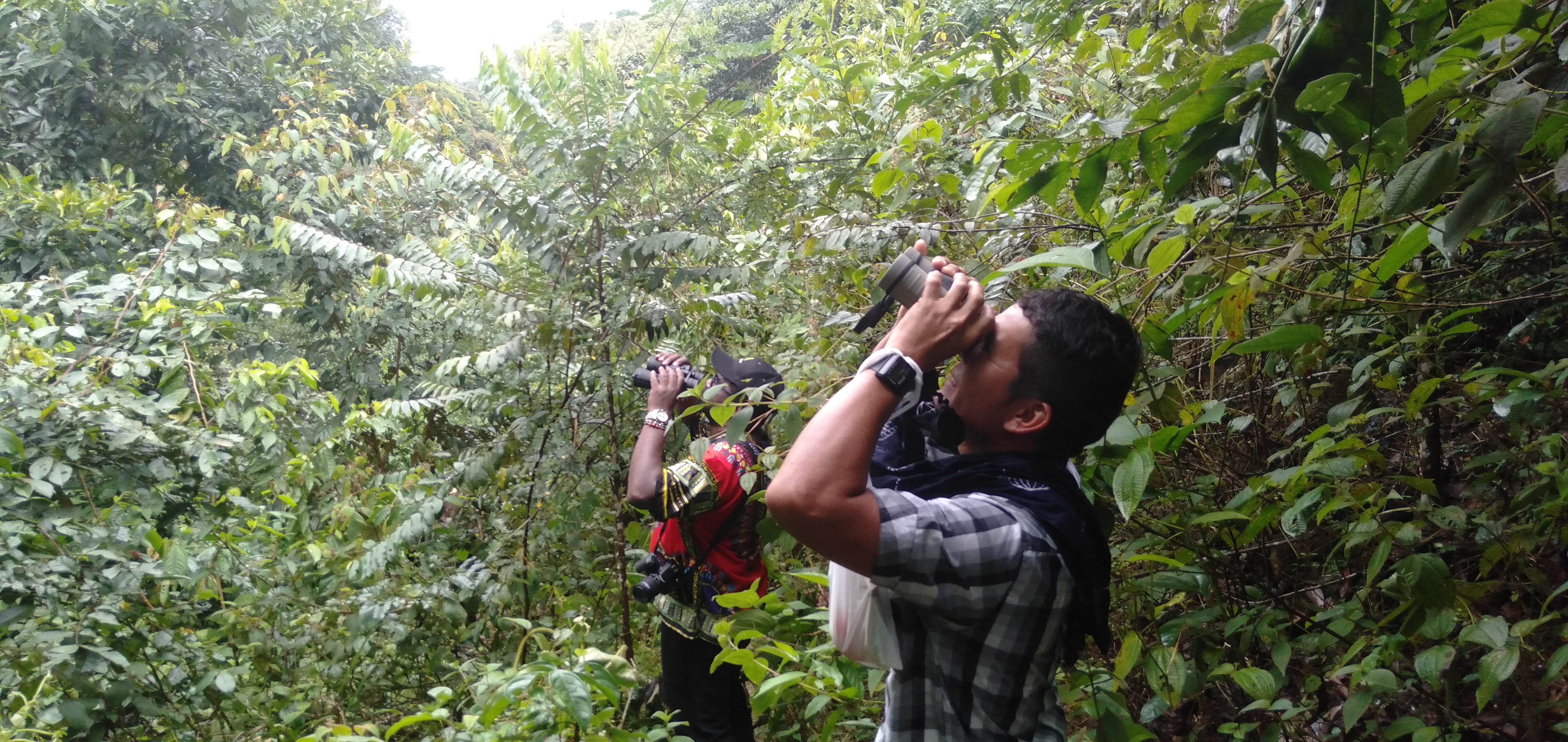 Ex-combatants learned to survey birds, plants and other wildlife. Ex-combatants learned to survey birds, plants and other wildlife.