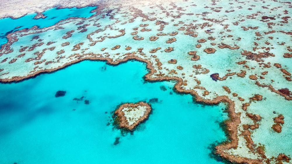 Australia's Great Barrier Reef shows record devastation