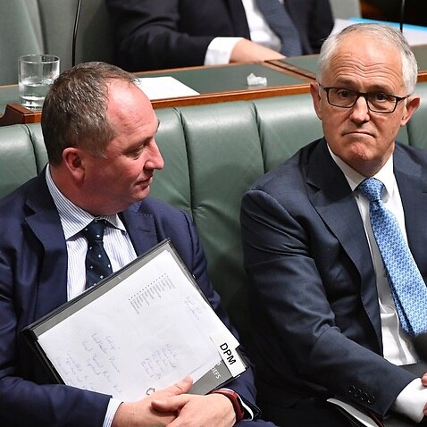 Barnaby Joyce and Malcolm Turnbull.
