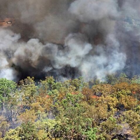 Bushfire safety in Australia