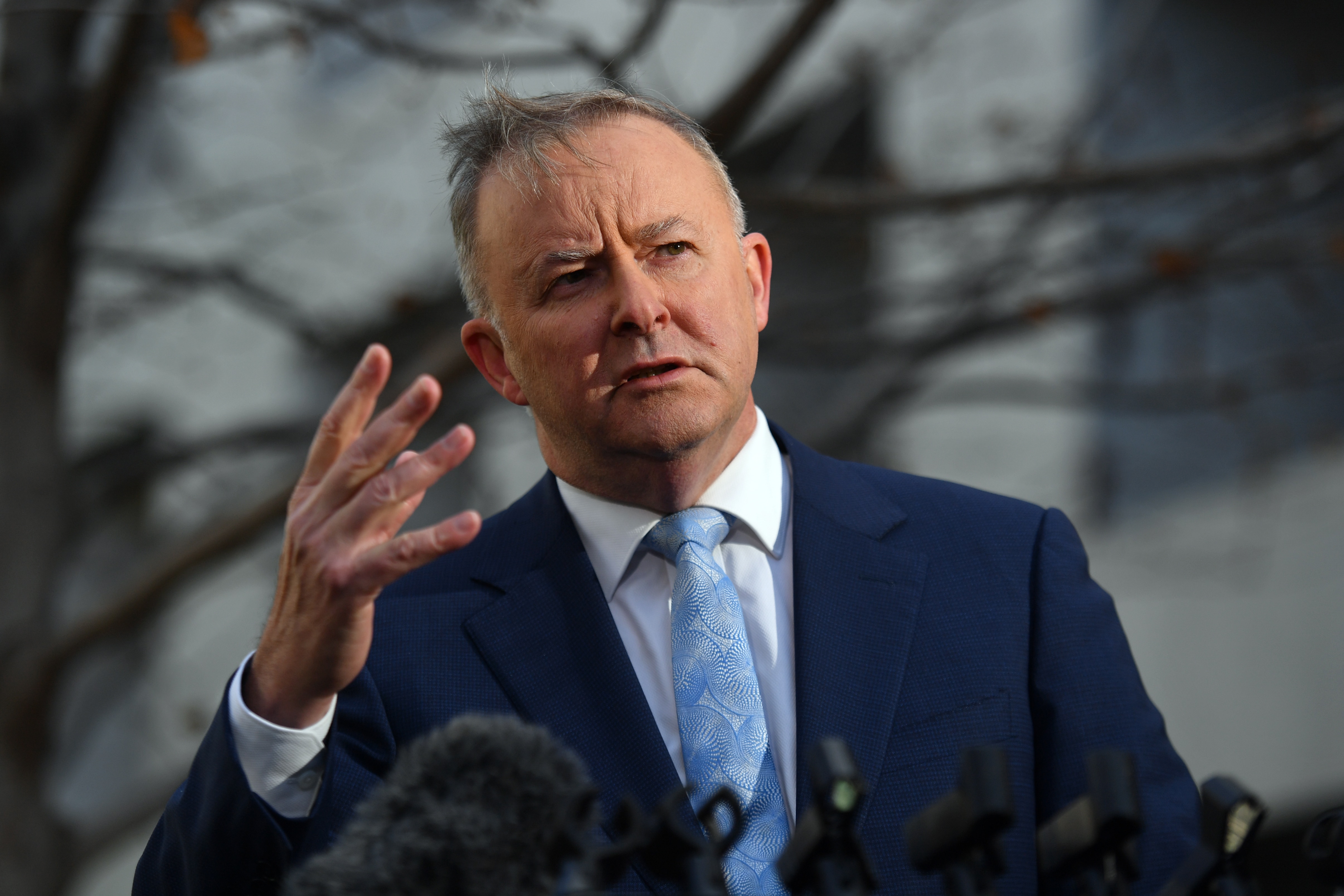 Leader of the Opposition Anthony Albanese at a press conference at Parliament House in Canberra, Tuesday, June 23, 2020. (AAP Image/Mick Tsikas) NO ARCHIVING