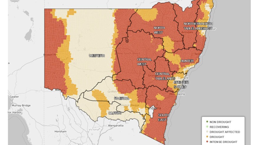 Much of NSW has been in drought for the past two years and even longer in some parts.