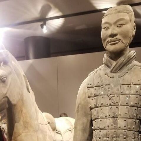 A picture of the terracotta cavalryman and horse at The Franklin Institute.