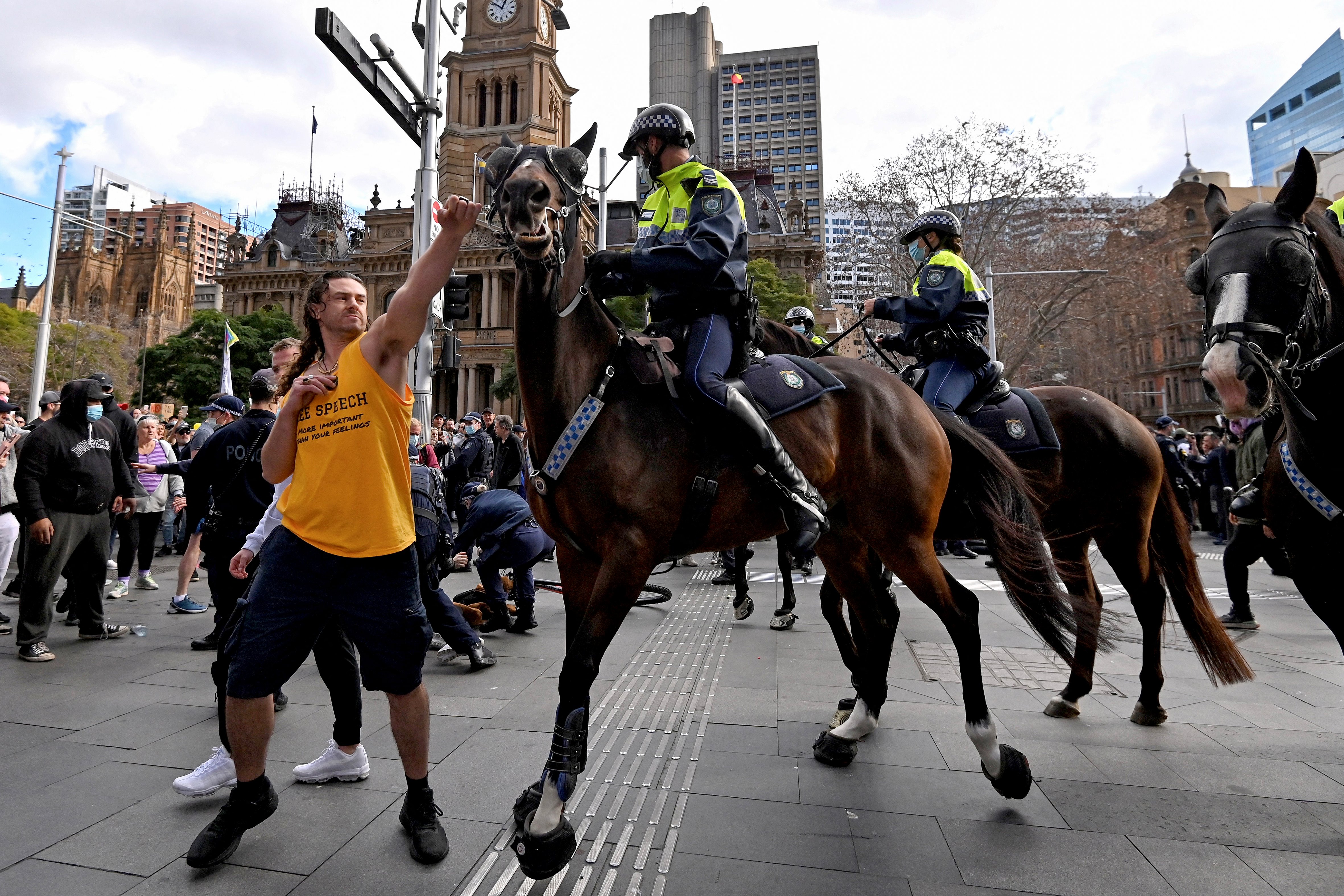 This image shows a protester appearing to punch a mounted horse in the head.