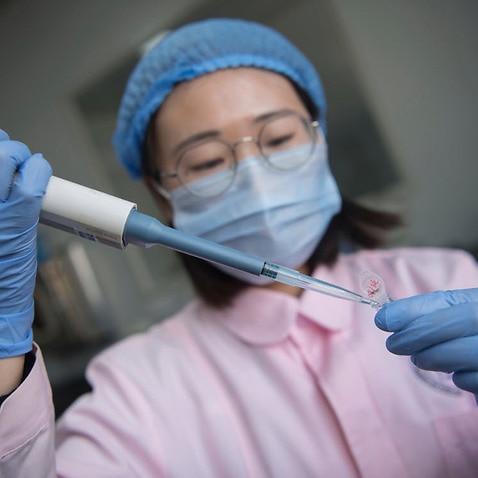 A Chinese medical worker performs genetic testing on fertilized eggs or embryos for test-tube babies (AAP)