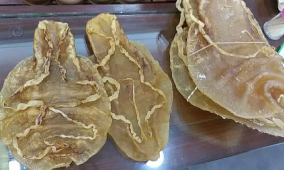 Totoaba are prized for their swim bladders. Totoaba are prized for their swim bladders.