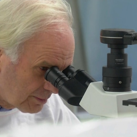 Prof Tony Cunningham told SBS News the speed in which this vaccine is being developed is 