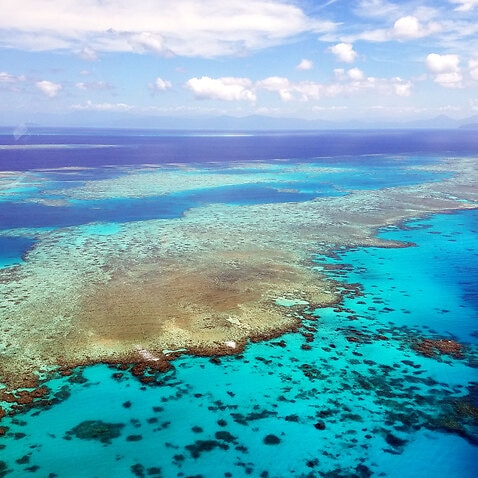 A view of of the Great Barrier Reef in the Coral Sea off the coast of Queensland.