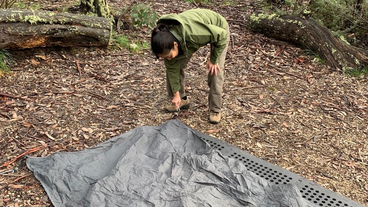 Queenie Luk is pitching a tent at Mount Buffalo Natinal Park