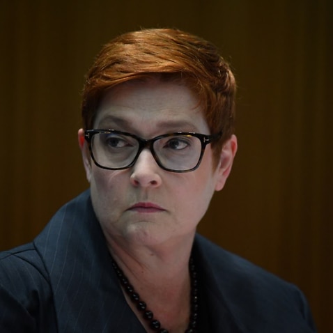 Minister for Foreign Affairs Marise Payne during Senate Estimates at Parliament House in Canberra.