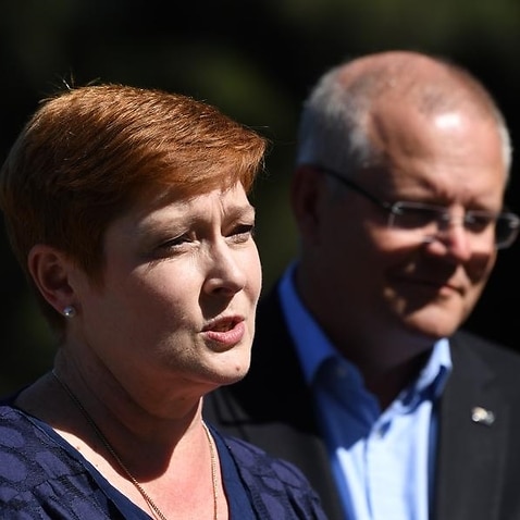 Marise Payne has called for calm.