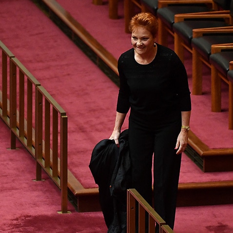 One Nation leader Senator Pauline Hanson 