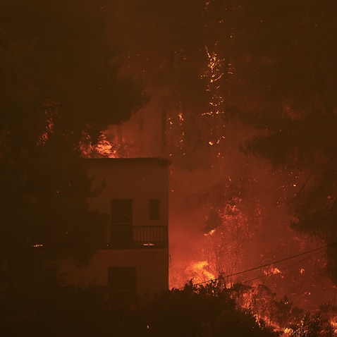 A wildfire burns trees at Pefki village on Evia Island,  north of Athens, Greece, Sunday, Aug. 8, 2021