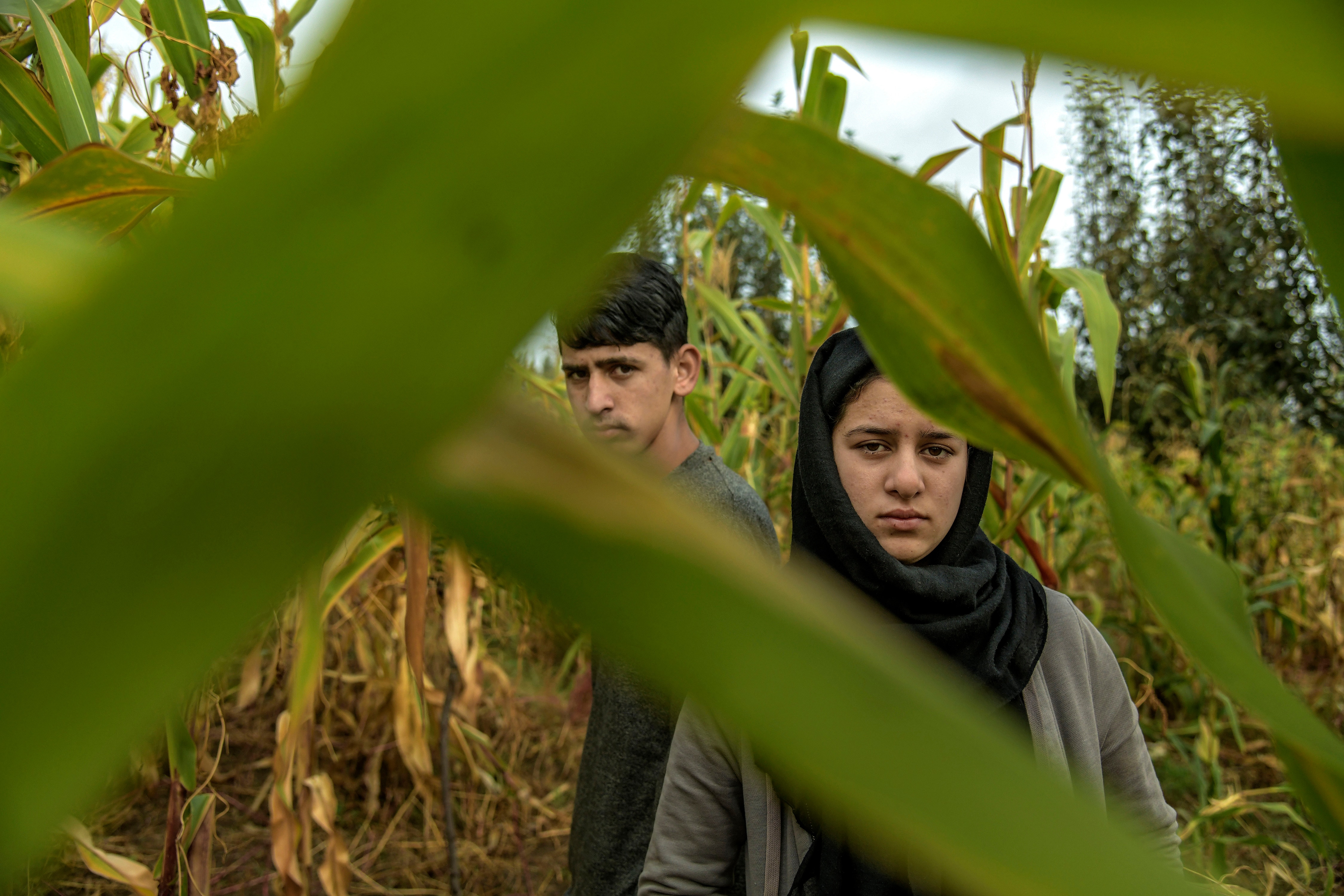 Musaib Amin, left, now helps his grandmother in the fields picking tomatoes, and his sister Asra Jan, both from Chari Sharif, a village in Kashmir. Musaib Amin, left, who now helps his grandmother pin the fields picking tomatoes, and his sister Asra Jan, both from Chari Sharif, a village in Kashmir, Oct. 18, 2019.