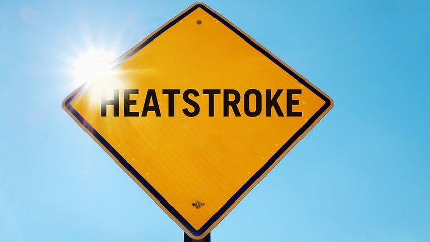 What Is Not A Symptom Of Heat Stroke