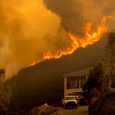性別公開パーティーがカリフォルニアの山火事を引き起こしたと考えられており 住民は家から逃げることを余儀なくされました オーストラリア Kono92 このくに